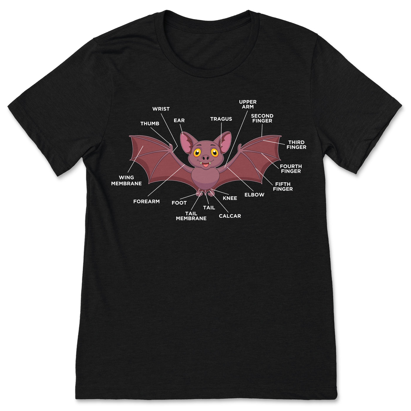 Anatomy Of A Bat Gift T-Shirt, Funny Bats Flying Vampire Animal Lover T Shirts, Cute Spooky Halloween Costume, Birthday Present Clothes,