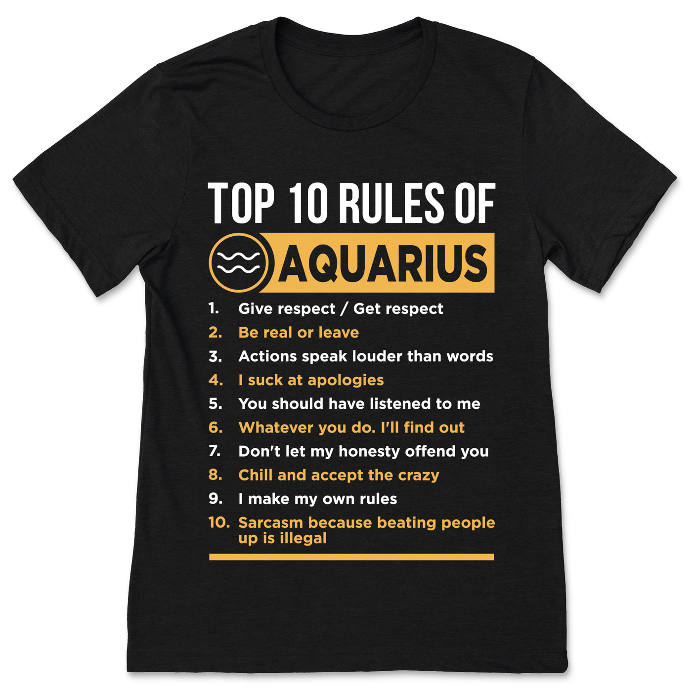 Aquarius 10 Rules Traits Facts Horoscope Zodiac Astrological Sign Funny T-Shirt, Born January 20 - February 18 Gifts