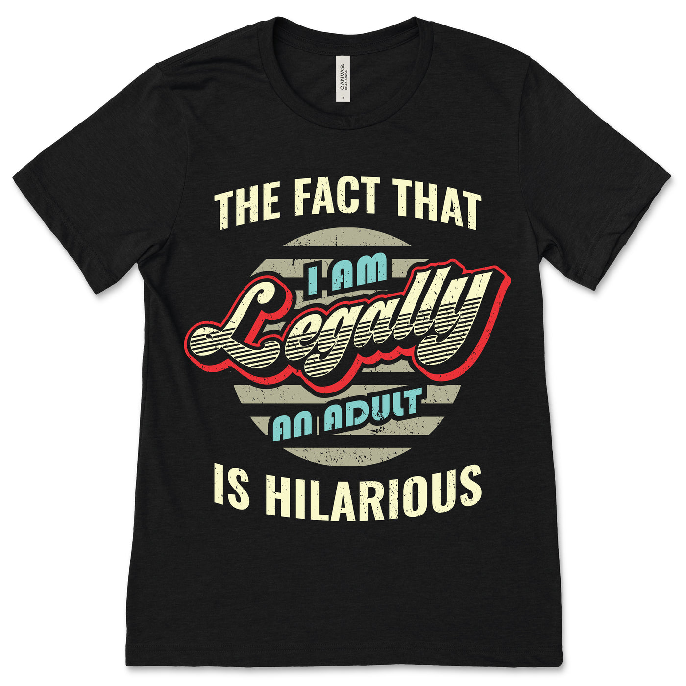 18th Birthday The Fact That I'm Legally An Adult Is Hilarious Funny T-Shirt, 18 Years Old Gifts, Birthday Party Present For Girls Boys Tees