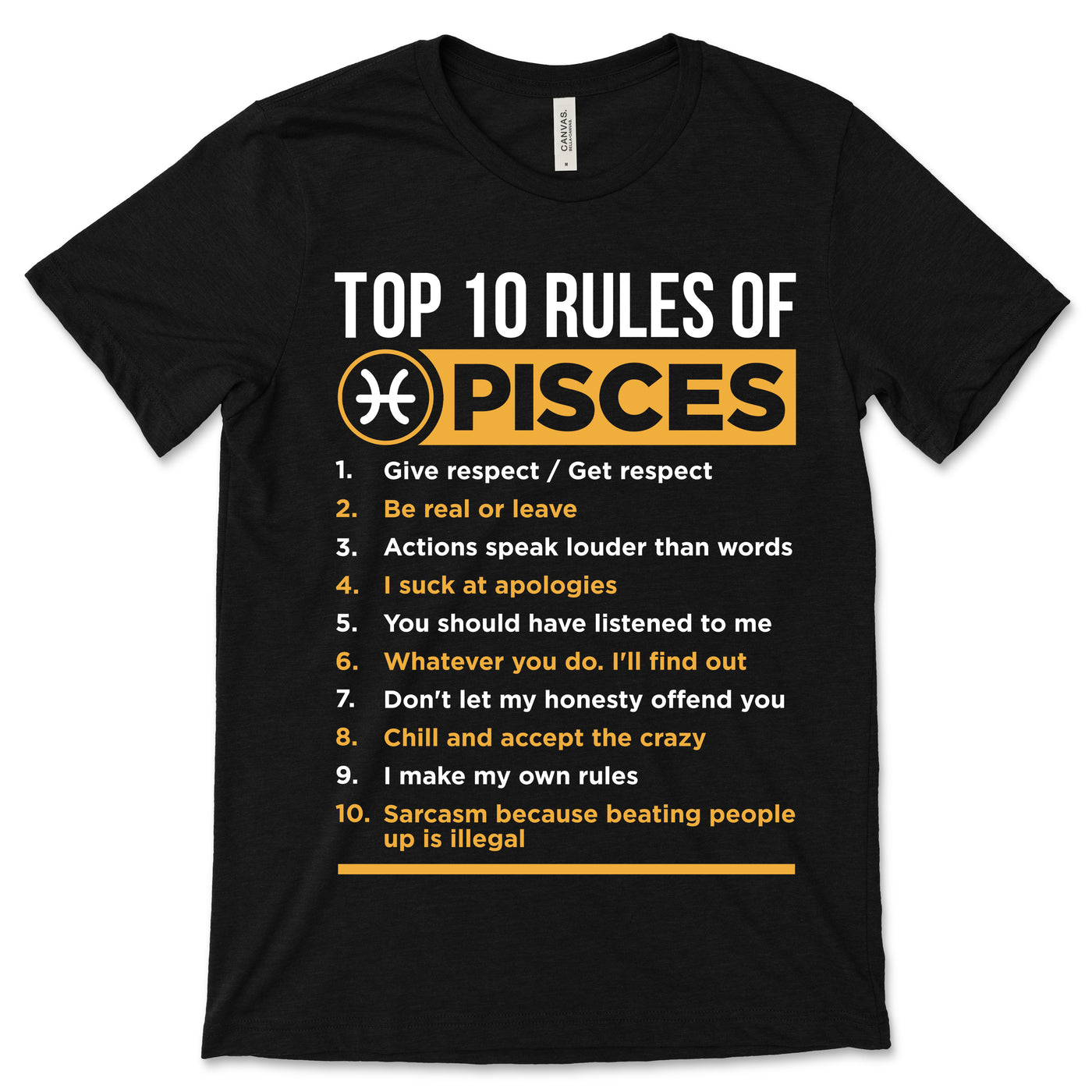 10 Rules of Pisces Horoscope Zodiac Astrological Sign T-Shirt, Born On February 19 and March 20 Gifts, Pisces Birthday, Christmas Present